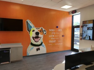 Dogtopia Port Chester New Construction Interior